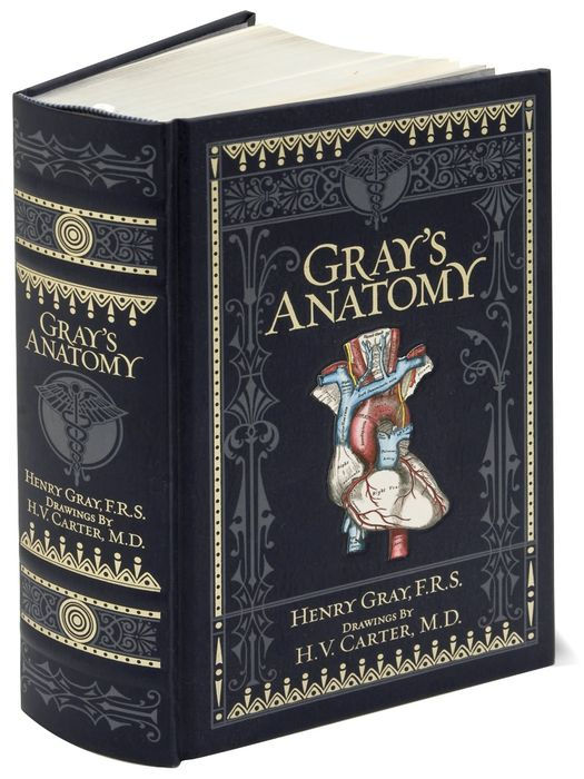 Gray's Anatomy by Henry Gray - Collectible Illustrated Leather Bound Hardcover