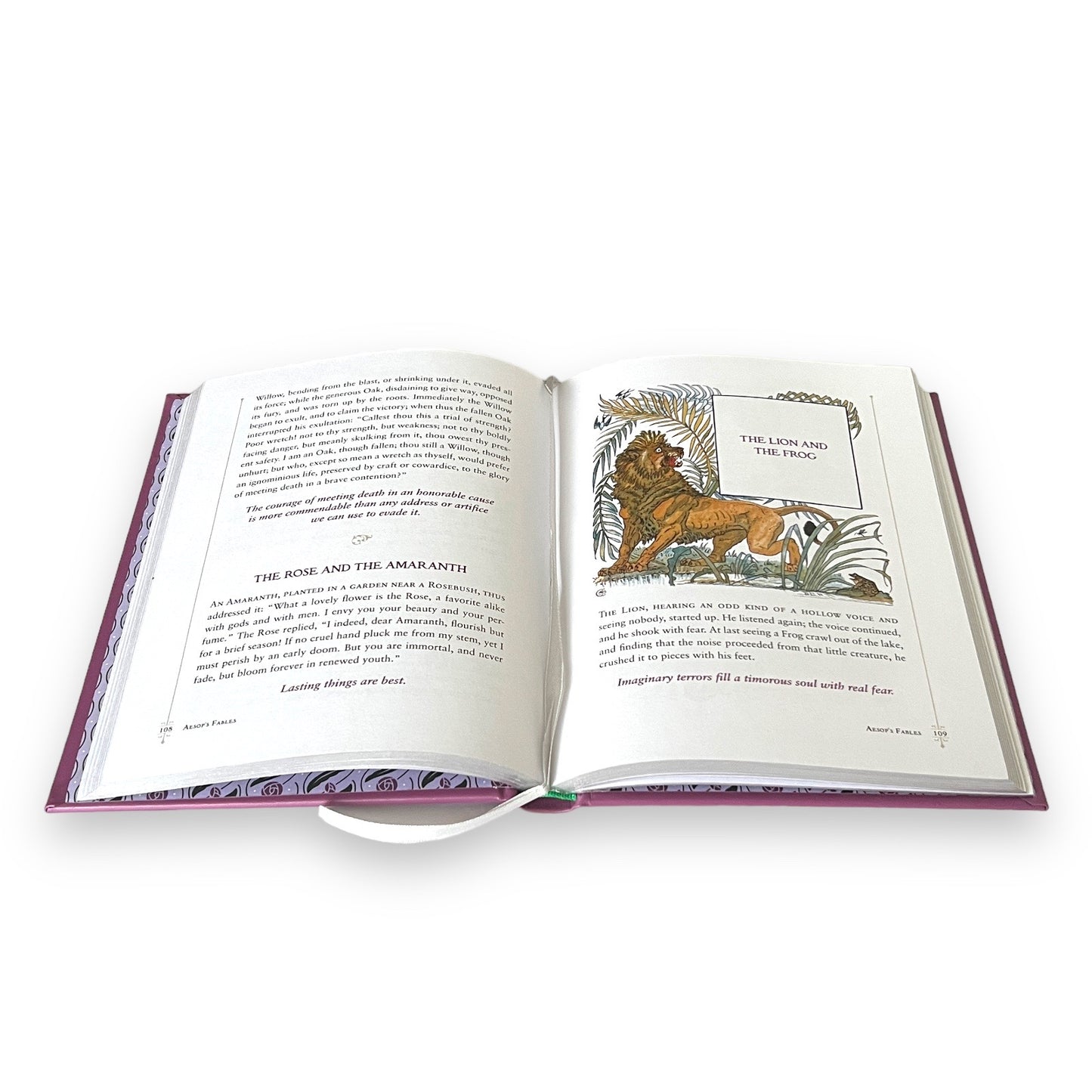 Aesop's Illustrated Fables Fairy Tales - Collectible Leather Bound Hardcover