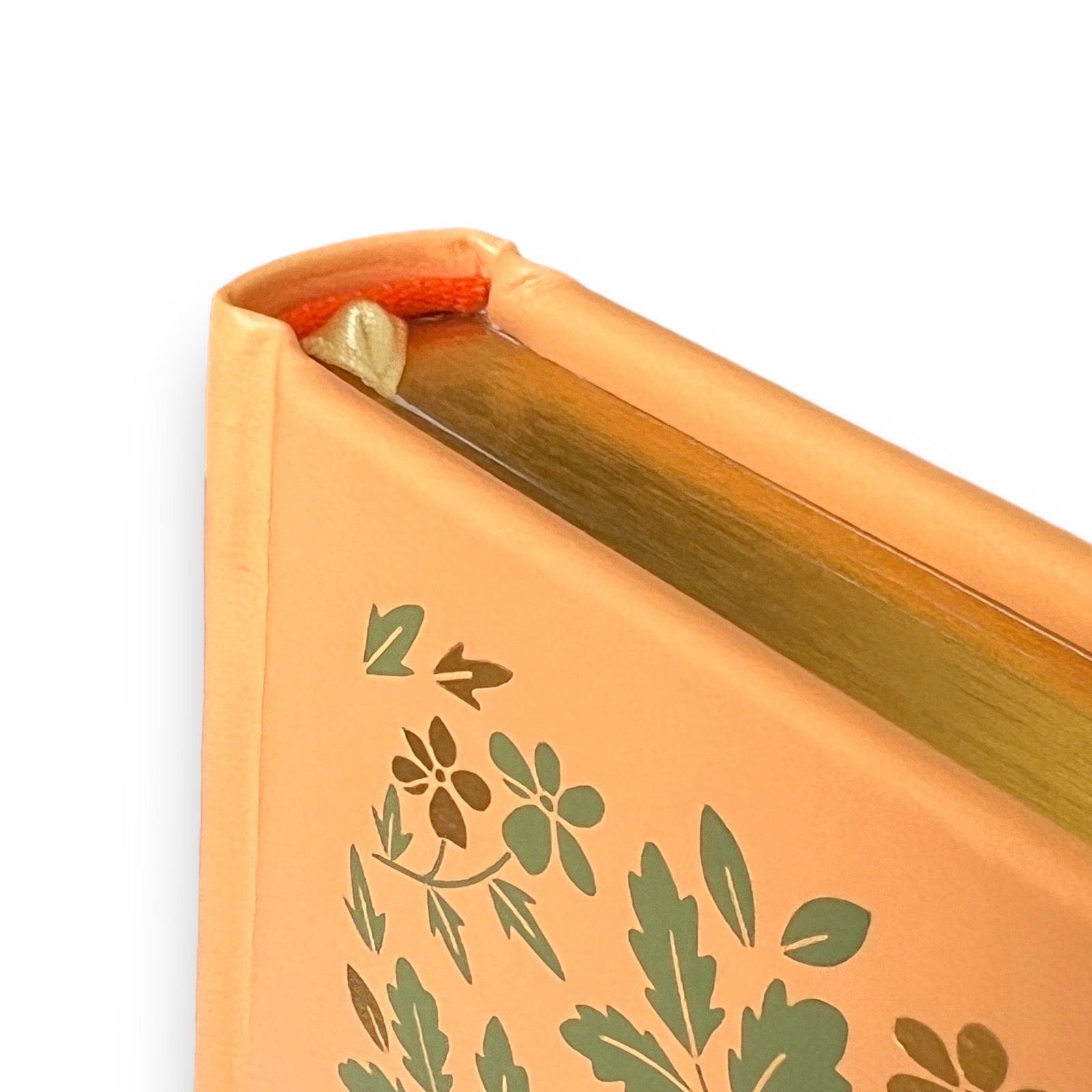 Black Beauty by Anna Sewell - Collectible Illustrated Leather Bound Hardcover