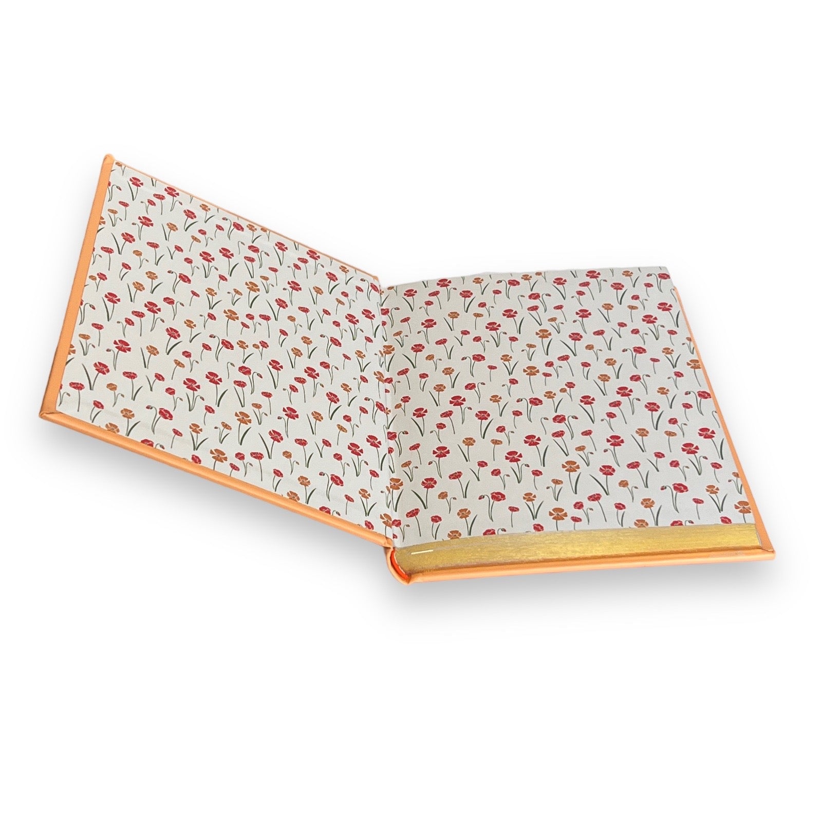 Black Beauty by Anna Sewell - Collectible Illustrated Leather Bound Hardcover