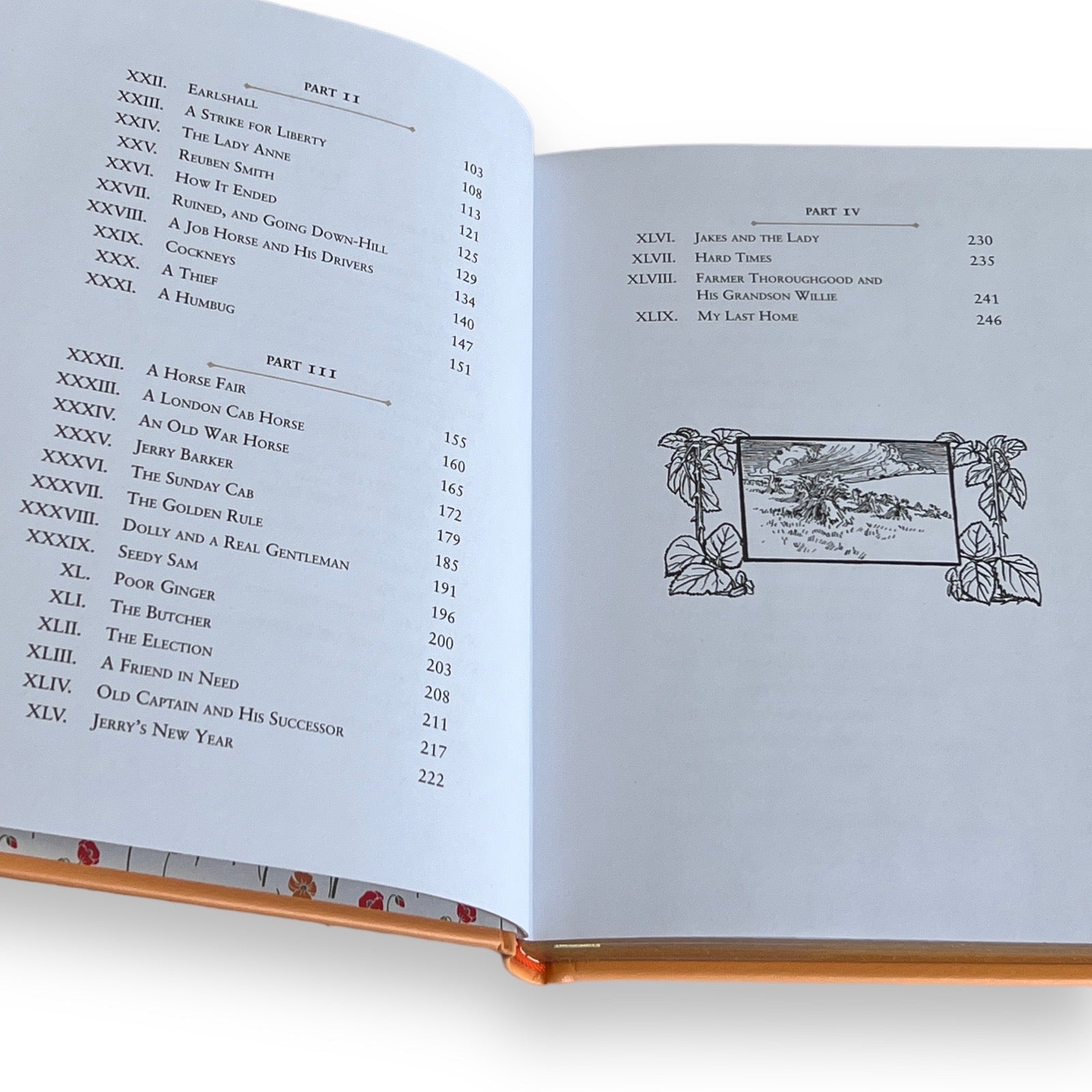 Black Beauty by Anna Sewell - Collectible Illustrated Leather Bound Hardcover