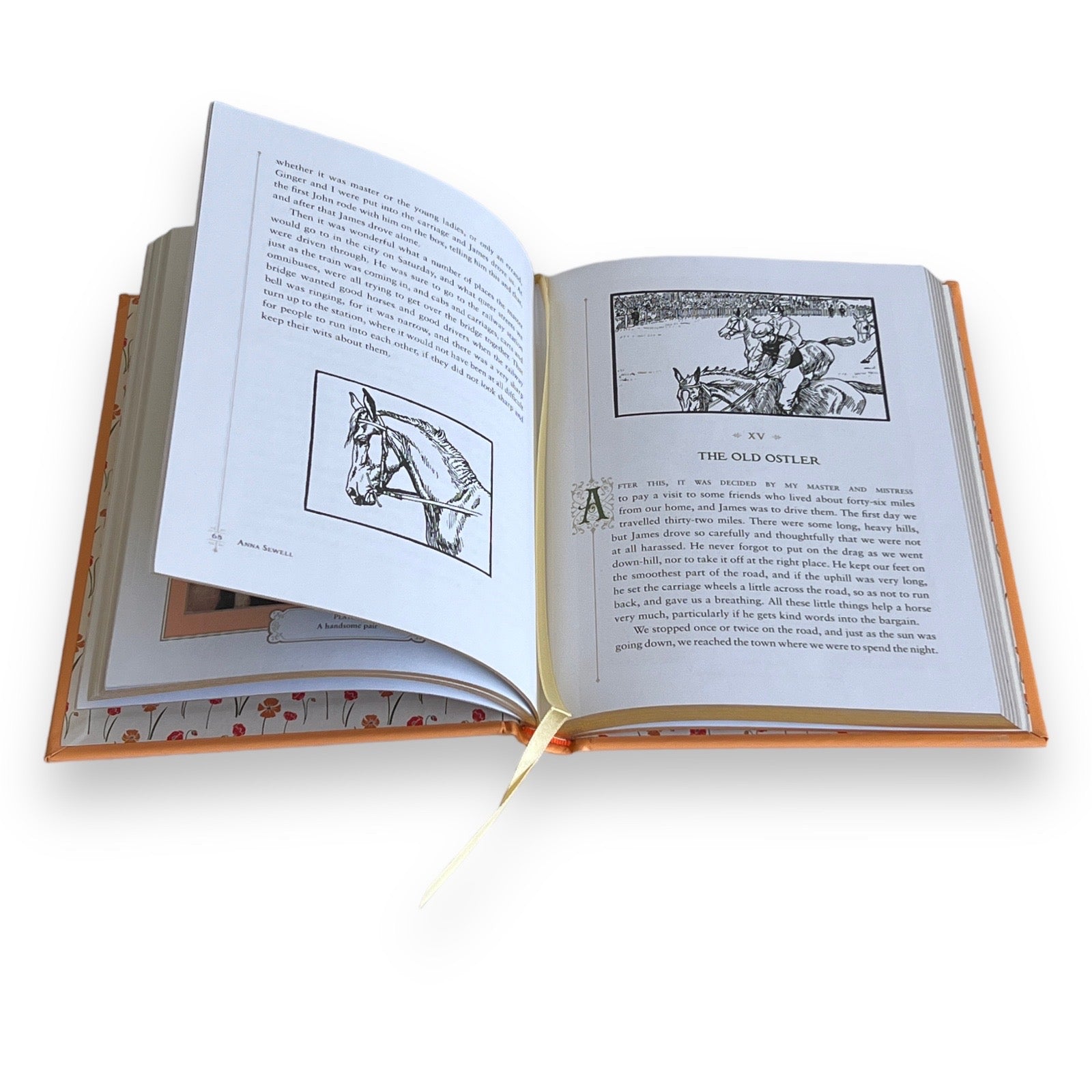 Black Beauty by Anna Sewell - Collectible Illustrated Leather Bound Hardcover