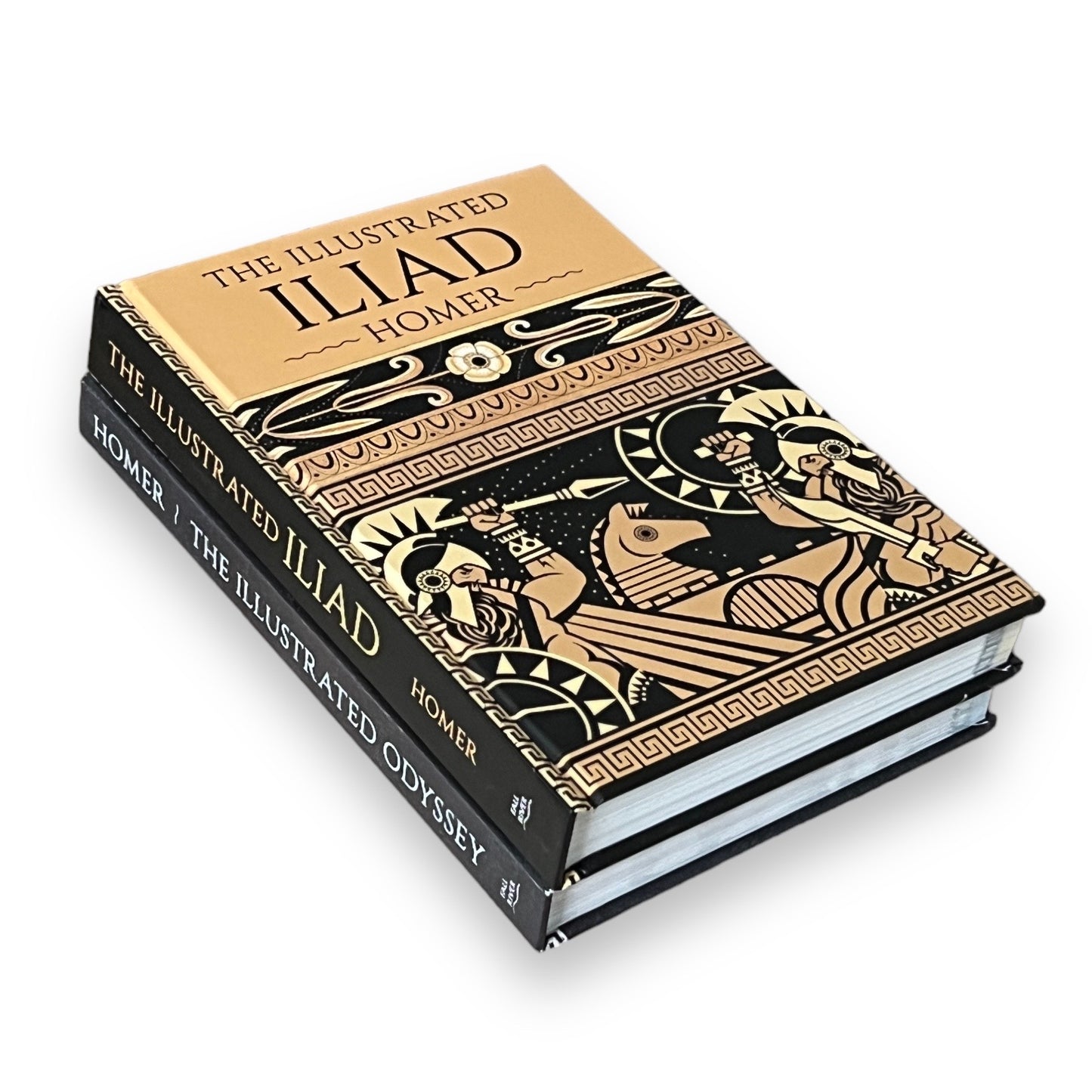2 Books: The Illustrated ILIAD & ODYSSEY by HOMER - Collectible Deluxe Special Gift Edition - Hardcover - Classics Rare Find