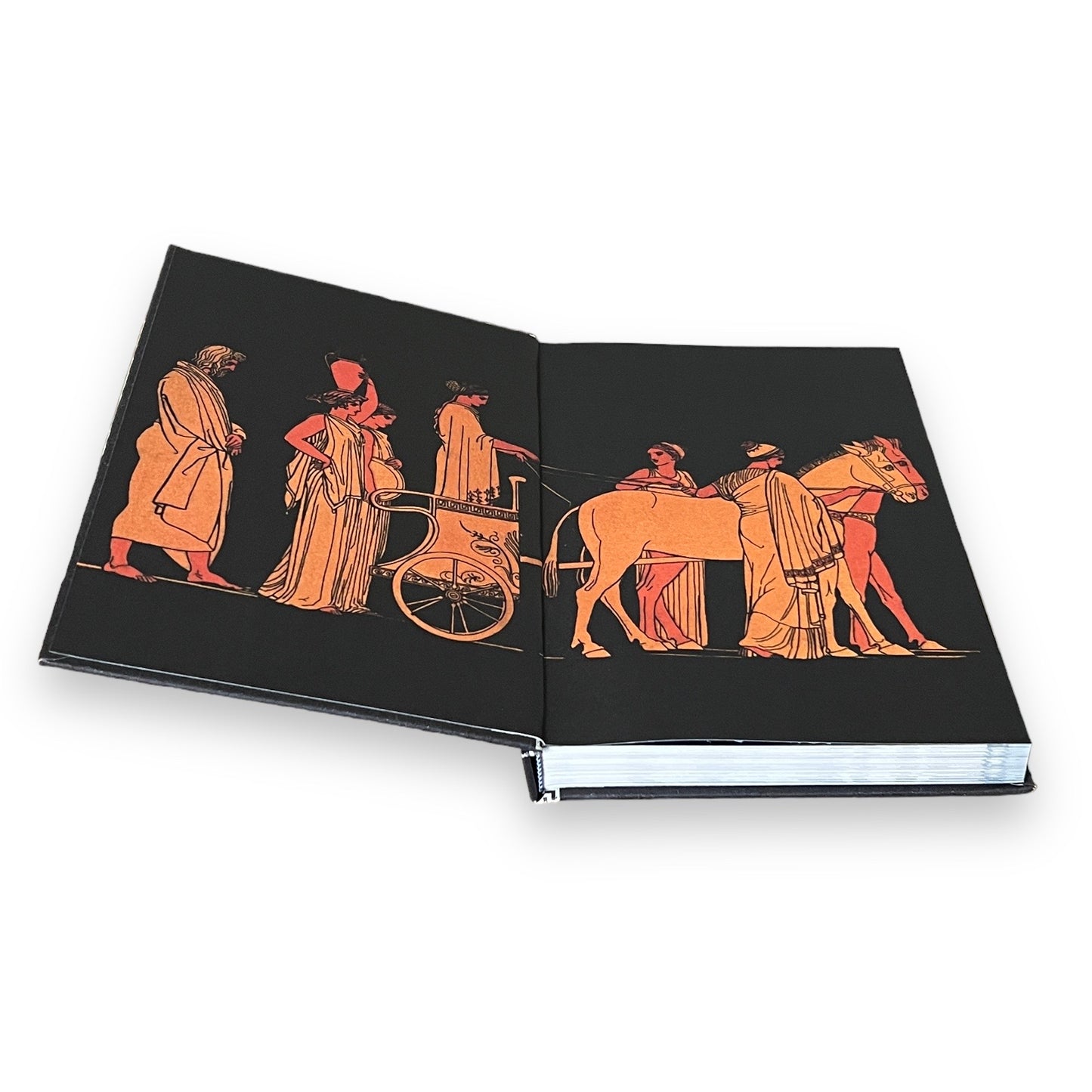 The Illustrated Odyssey by Homer - Full-Color Hardcover