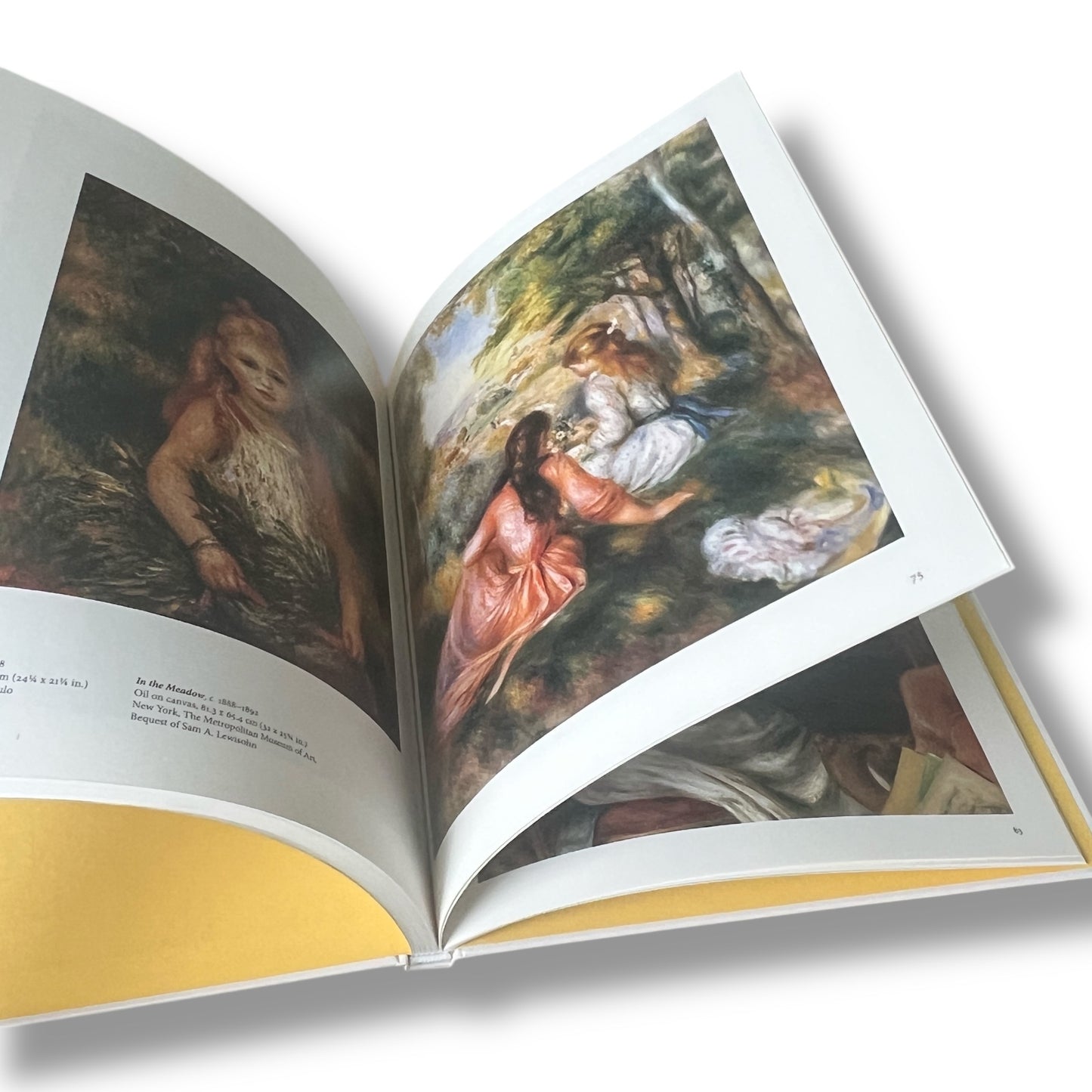 Pierre-Auguste Renoir: 1841-1919 - Illustrated Hardcover (10"x8") (Copy)