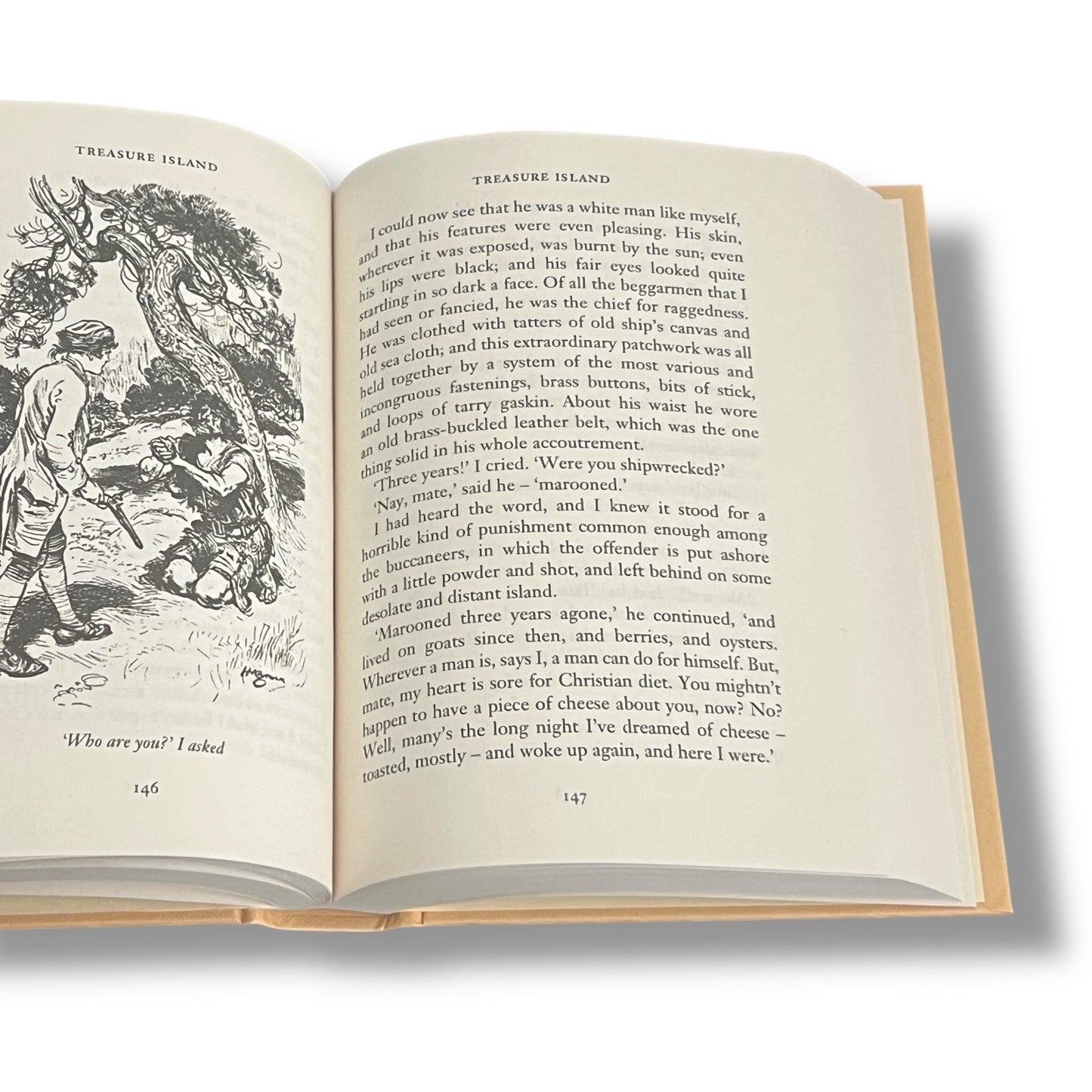 Treasure Island by Robert Louis Stevenson - Collectible Hardcover
