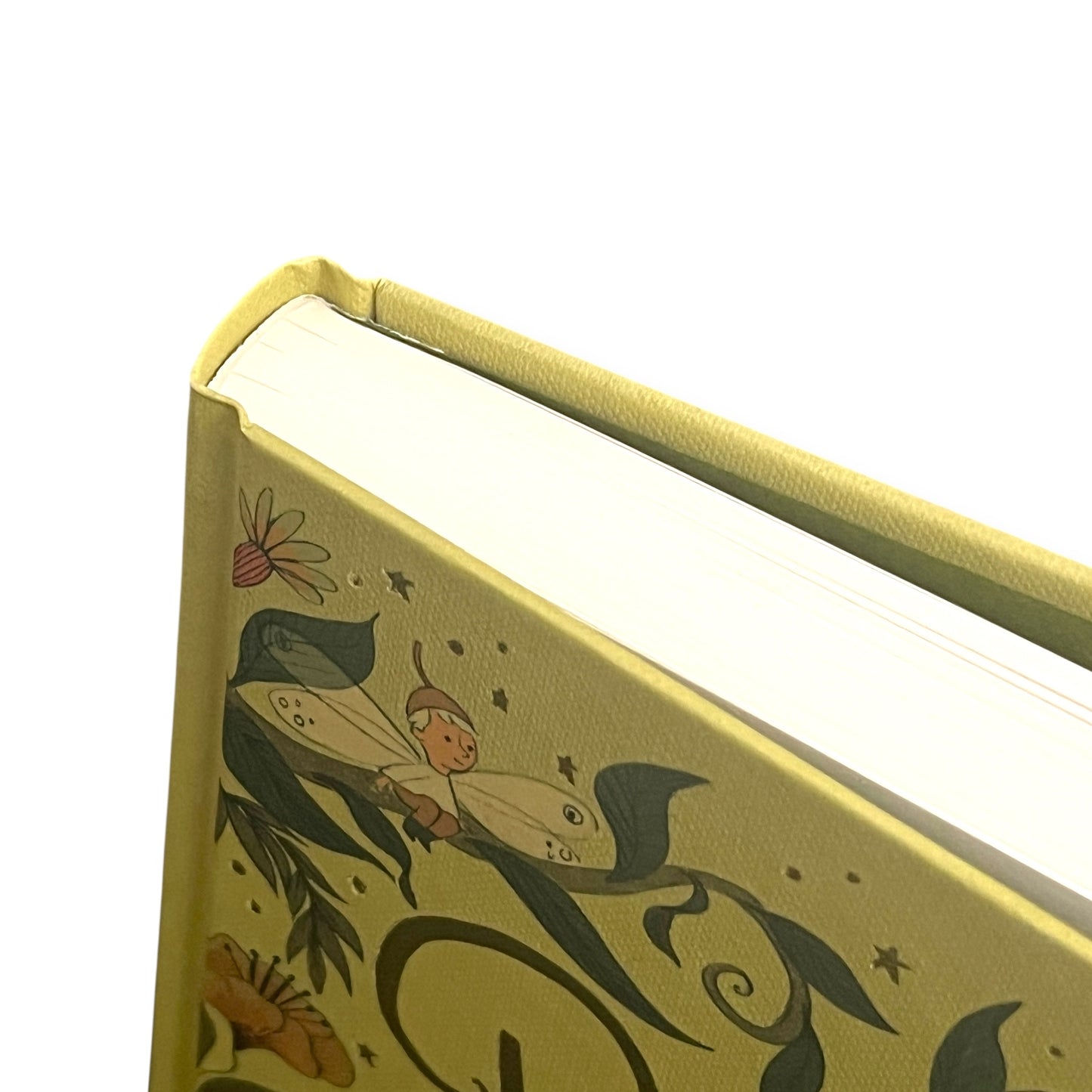 Peter Pan by J. M. Barrie - Collectible Compact Hardcover
