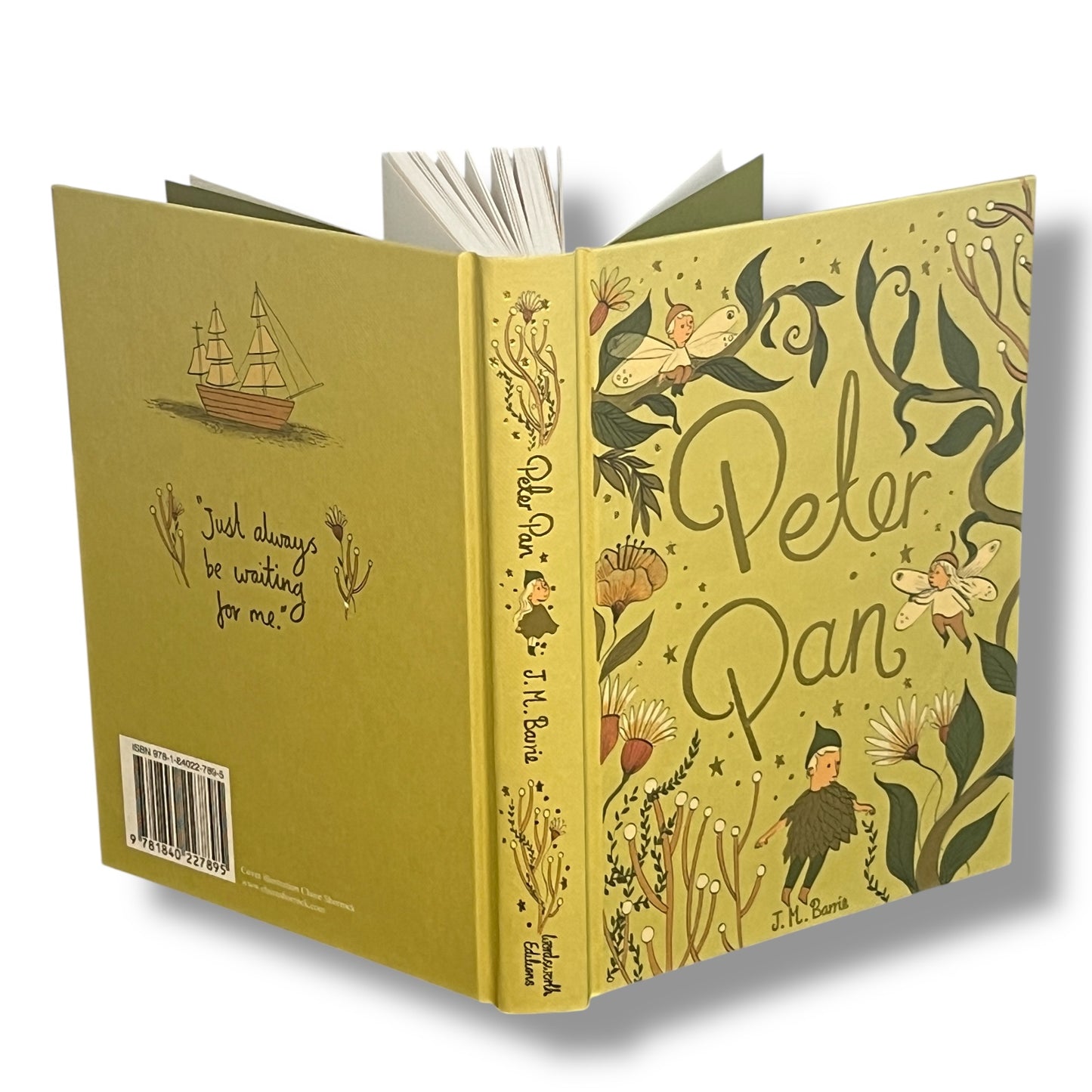 Peter Pan by J. M. Barrie - Collectible Compact Hardcover