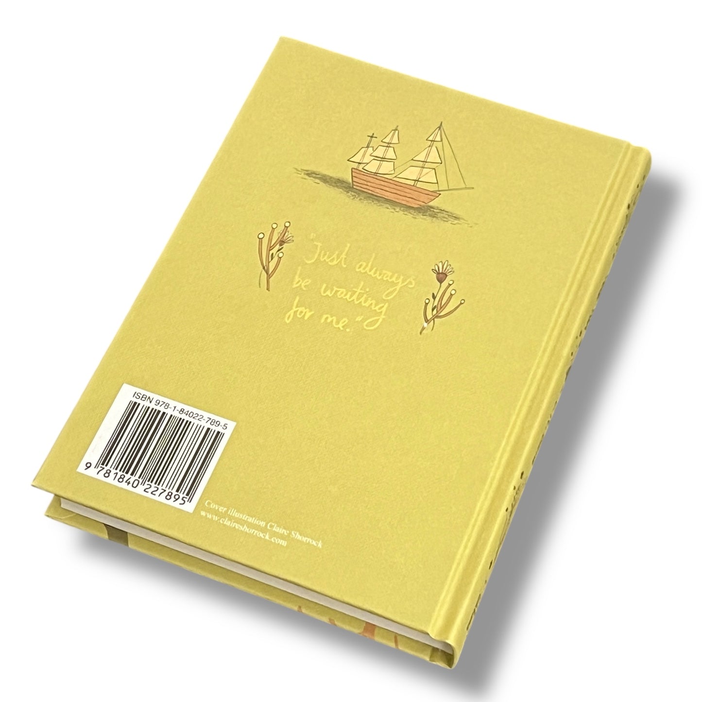 Peter Pan by J. M. Barrie - Collectible Compact Hardcover