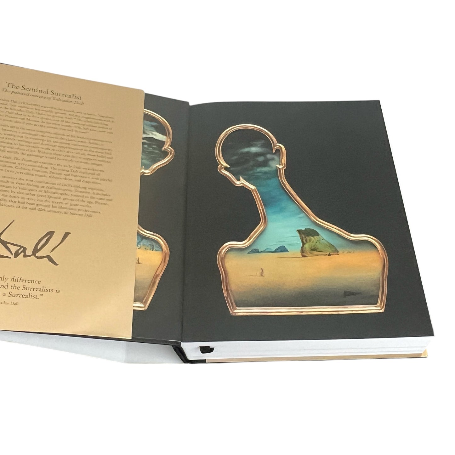 Dalí: The Paintings by Robert Descharnes - Illustrated Hardcover 10x8