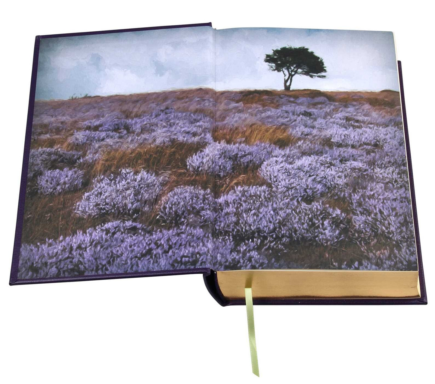 Selected Works of the Bronte Sisters - Collectible Leather Bound Hardcover Classics