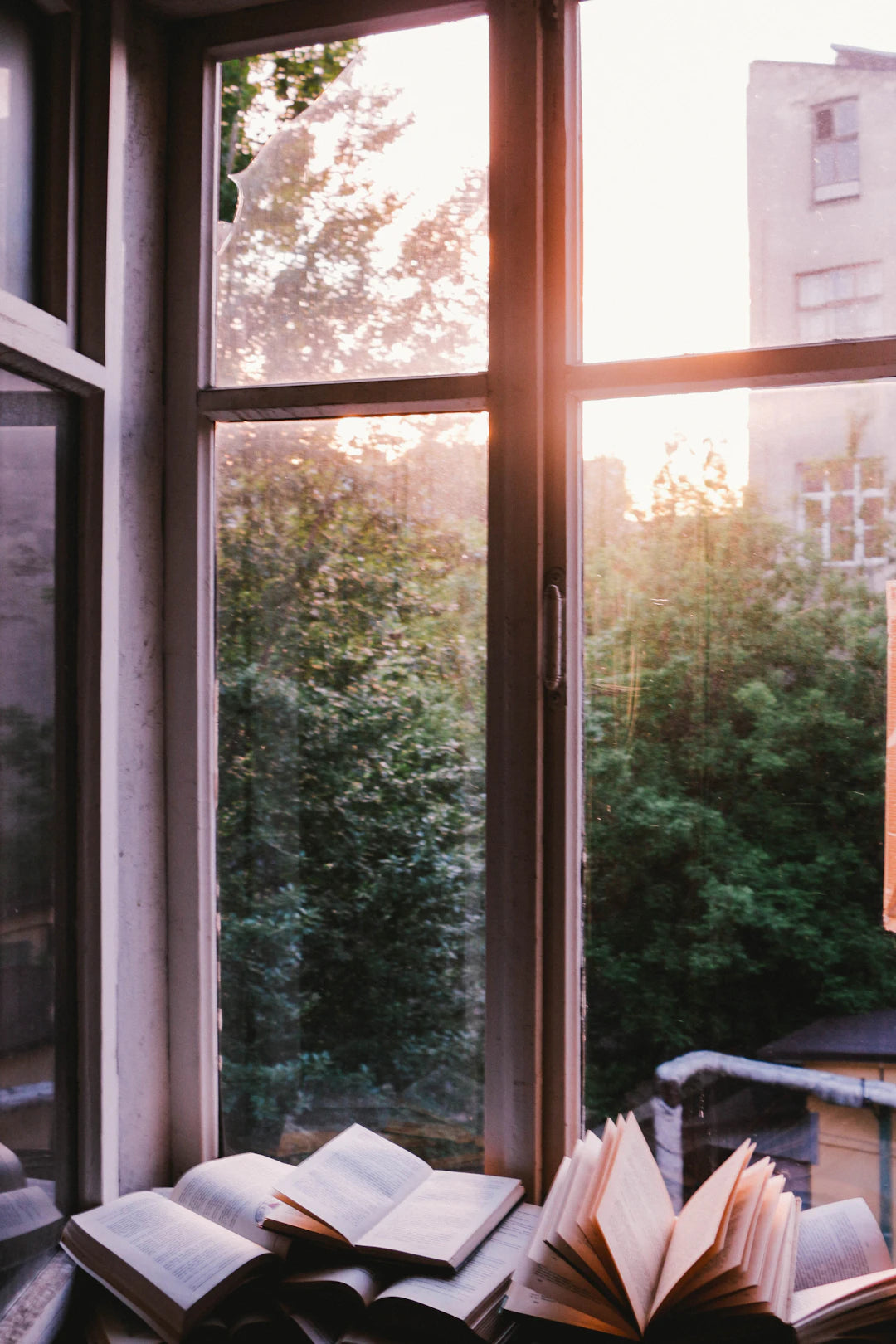 Designing the Perfect Cozy Reading Nook