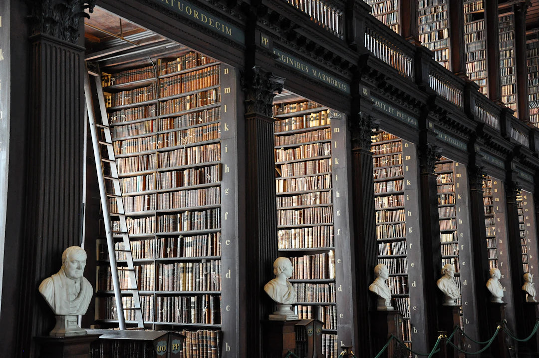 Elegant Classic Philosophy Books for Thoughtful Gifting