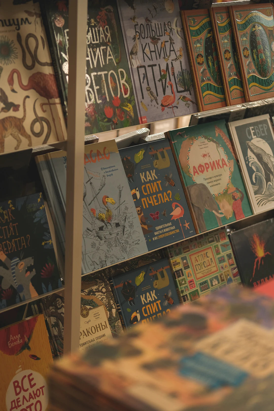 Unlocking Learning Deluxe Books for Children's Education