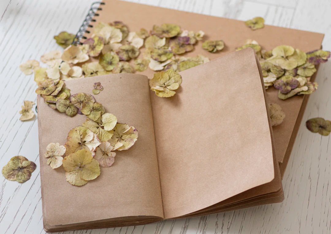 Deluxe Books Eco-Friendly Gifts for Every Occasion