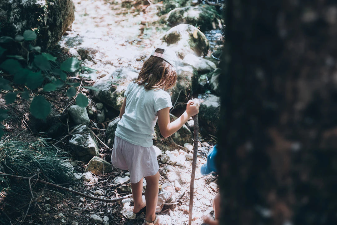Deluxe Adventure Books for Young Readers' Imagination