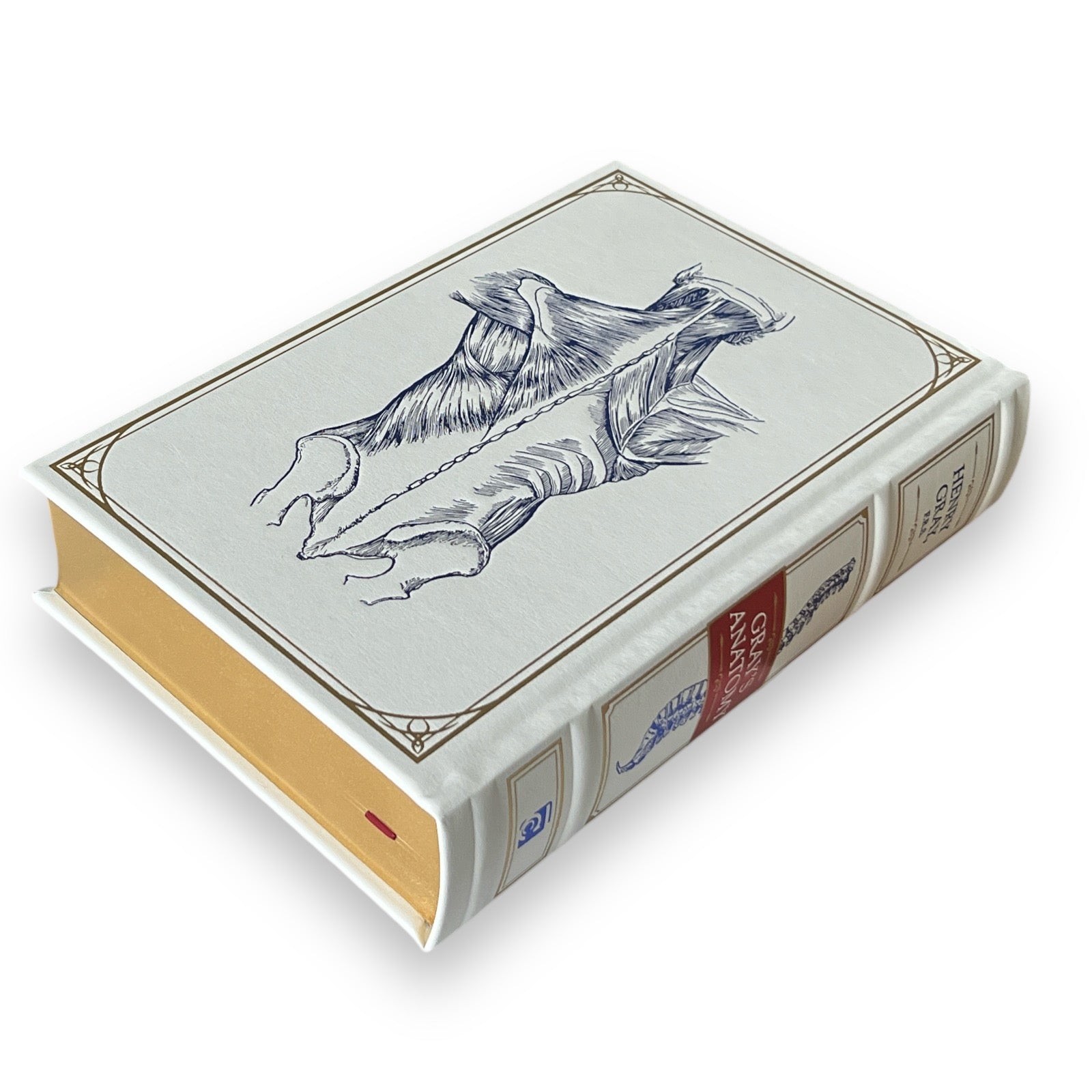 Gray's Anatomy: Anatomy Descriptive and Surgical Henry Gray - Collectible Leather Bound Hardcover