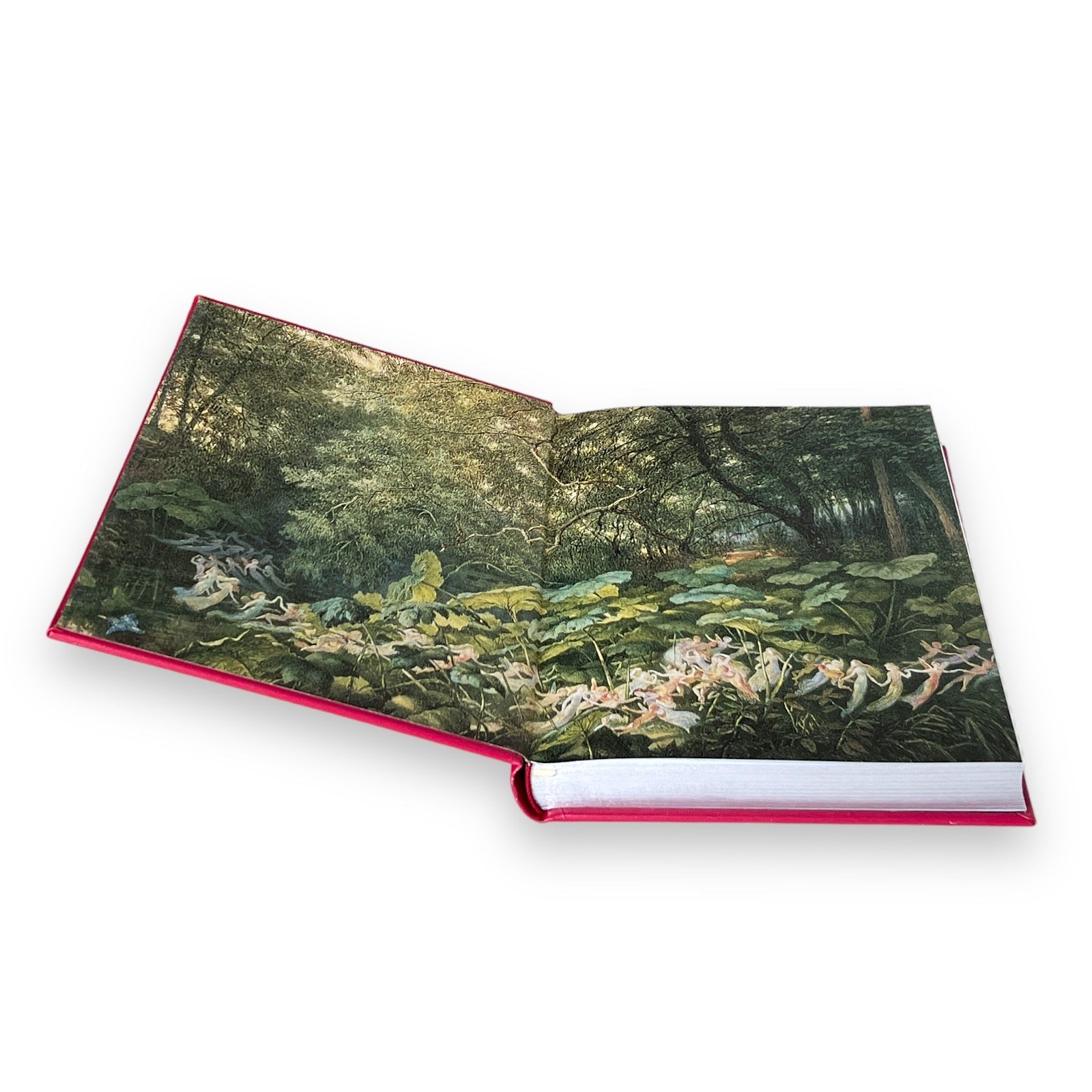 Grimm's Fairy Tales - Collectible Illustrated Leather Bound Hardcover