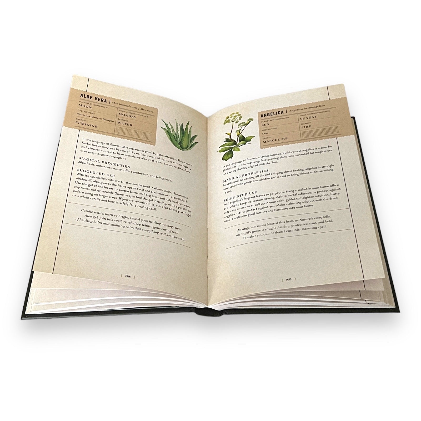 Herbal Magic by Aurora Kane - Collectible Deluxe Gift Edition - Full-Color Hardcover