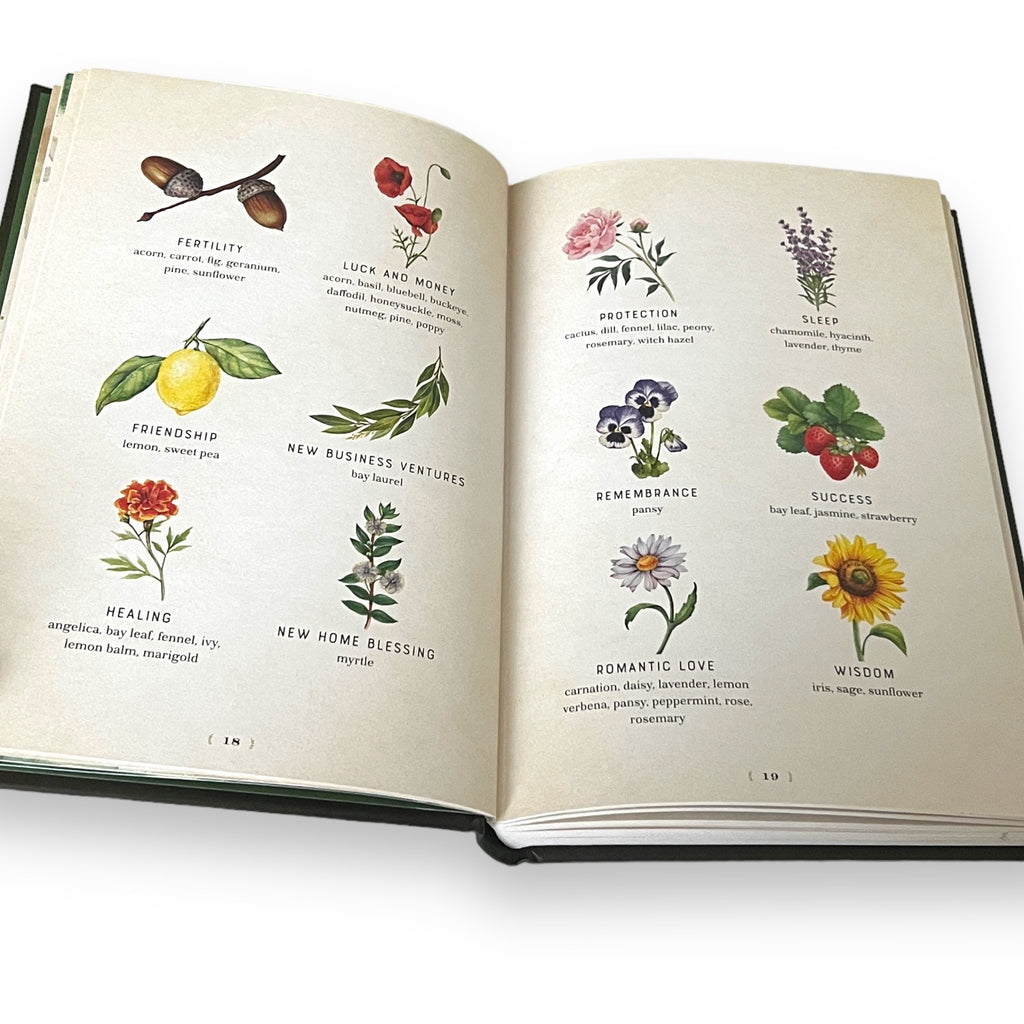Herbal Magic by Aurora Kane - Collectible Deluxe Gift Edition - Full-Color Hardcover