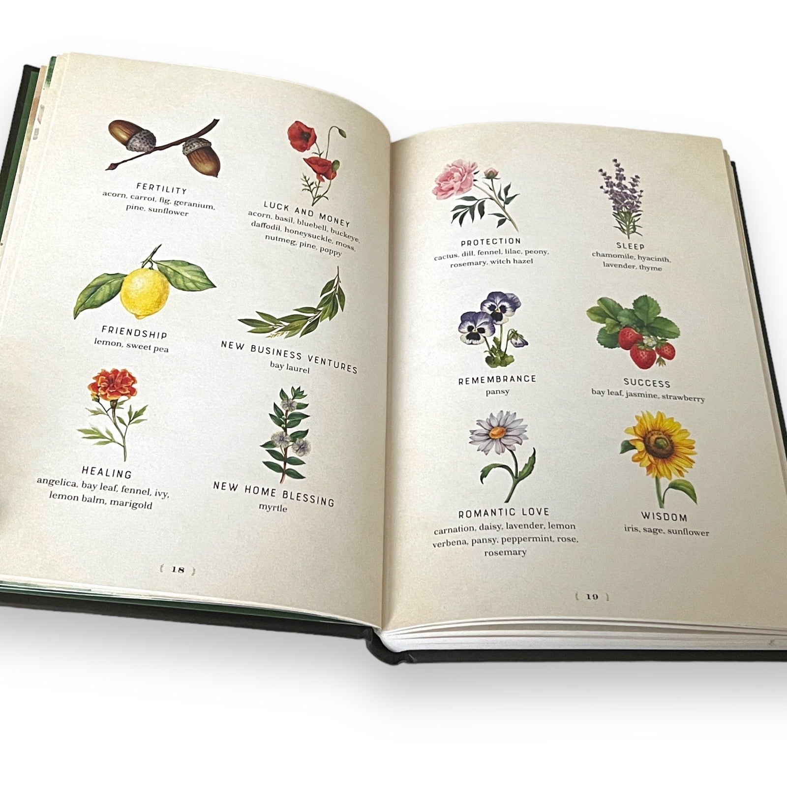 Herbal Magic by Aurora Kane - Collectible Deluxe Gift Edition - Full-Color Hardcover