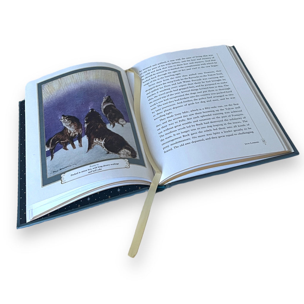 The Call Of The Wild by Jack London - Collectible Illustrated Leather Bound Hardcover