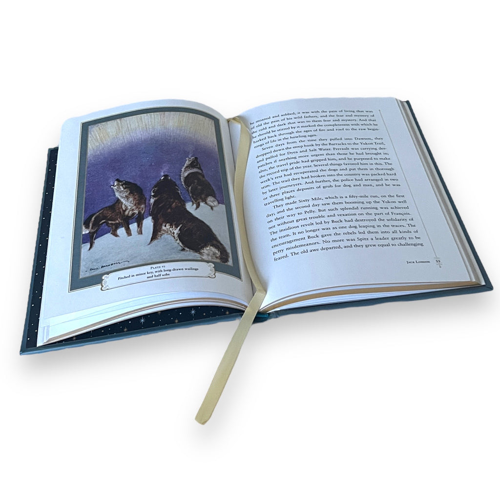 The Call Of The Wild by Jack London - Collectible Illustrated Leather Bound Hardcover