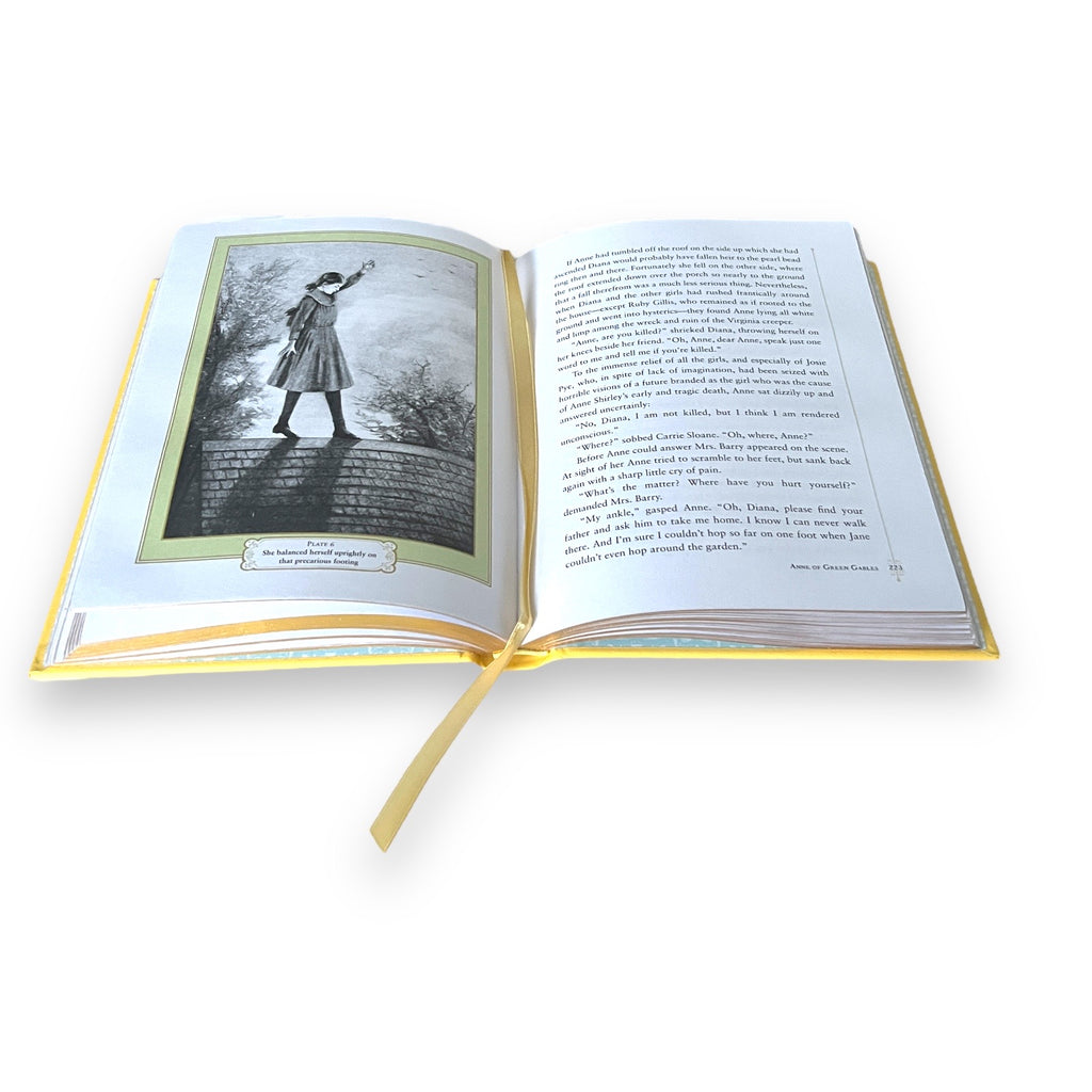 3-Book Set: Anne Of Green Gables, Heidi, A Little Princess  - Collectible Leather Bound Hardcover