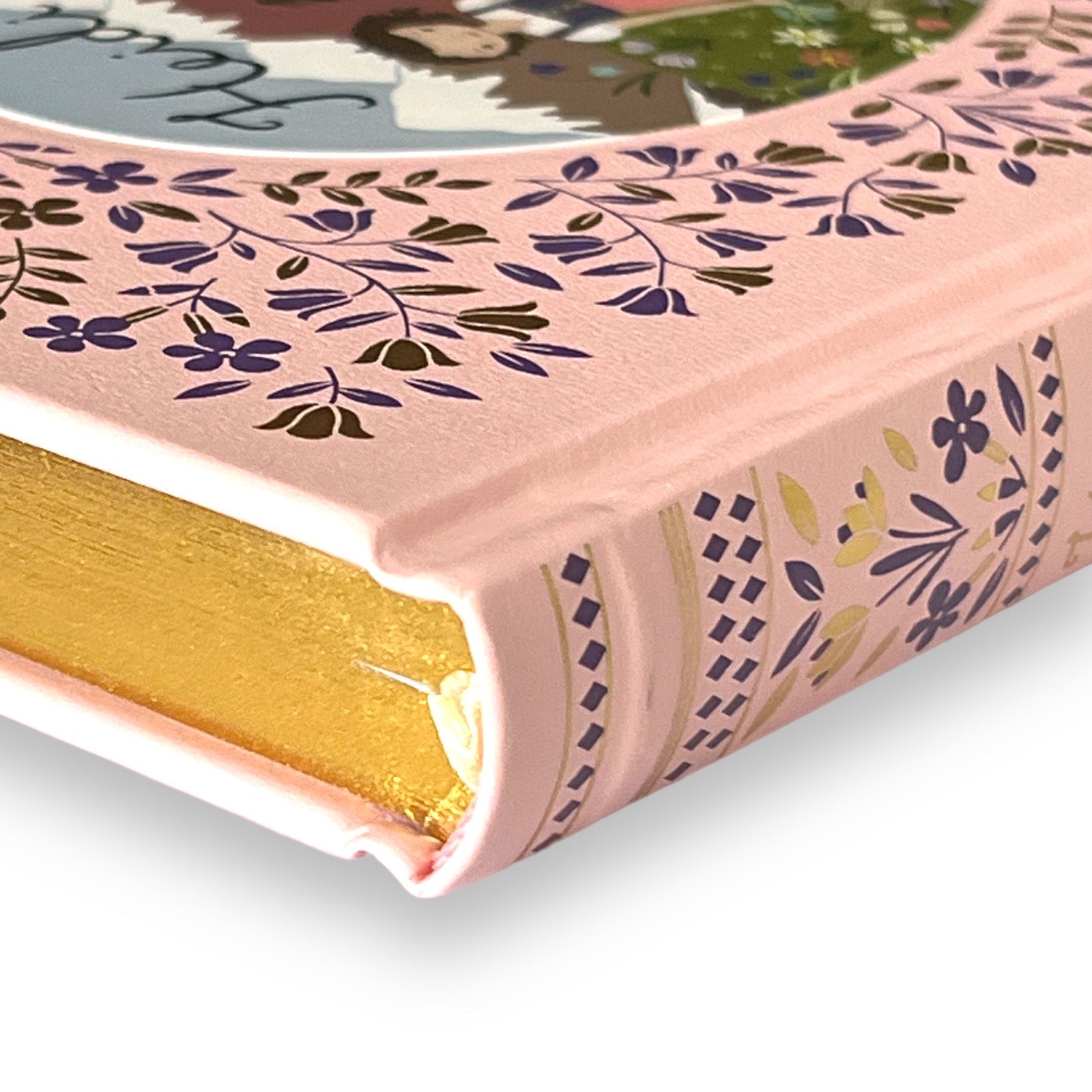 Heidi by Johanna Spyri - Collectible Illustrated Leather Bound Hardcover