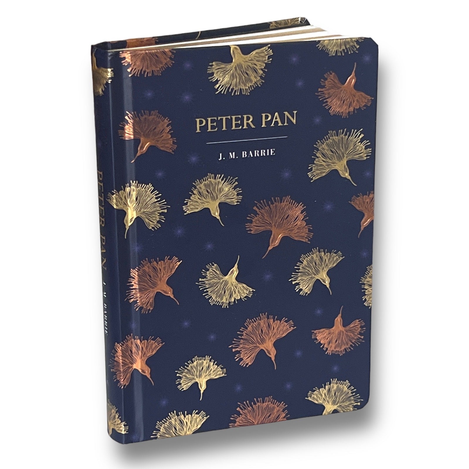 Peter Pan by J. M. Barrie - Illustrated Deluxe Gift Edition - Colorful Hardcover