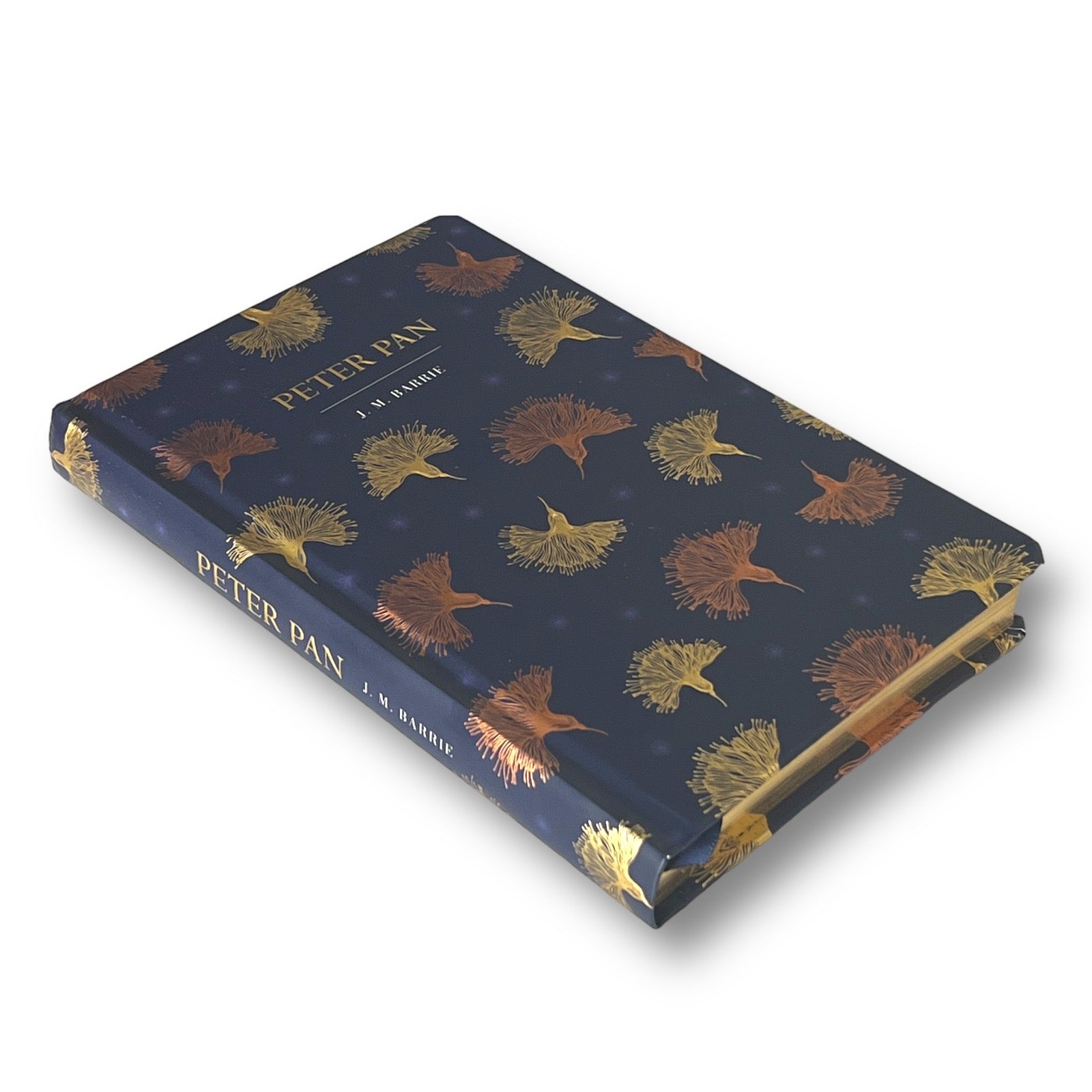 Peter Pan by J. M. Barrie - Illustrated Deluxe Gift Edition - Colorful Hardcover