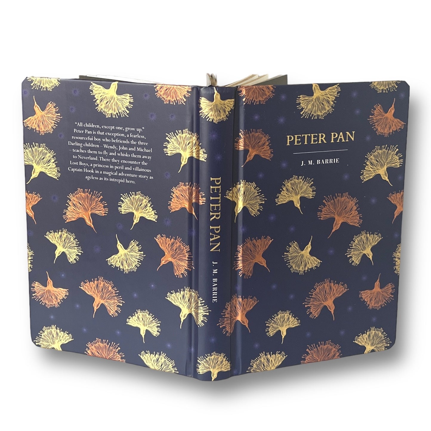 PETER PAN by J. M. Barrie - Collectible Deluxe Special Illustrated Gift Edition - Colorful Hardcover - Classic Book