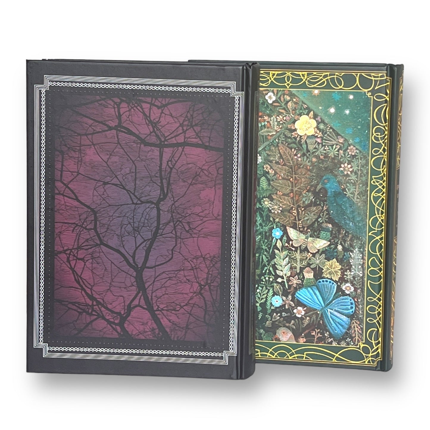 2-Book Set: Grimm's Fairy Tales & Edgar Allan Poe Complete Tales and Poems - Collectible Deluxe Hardcover