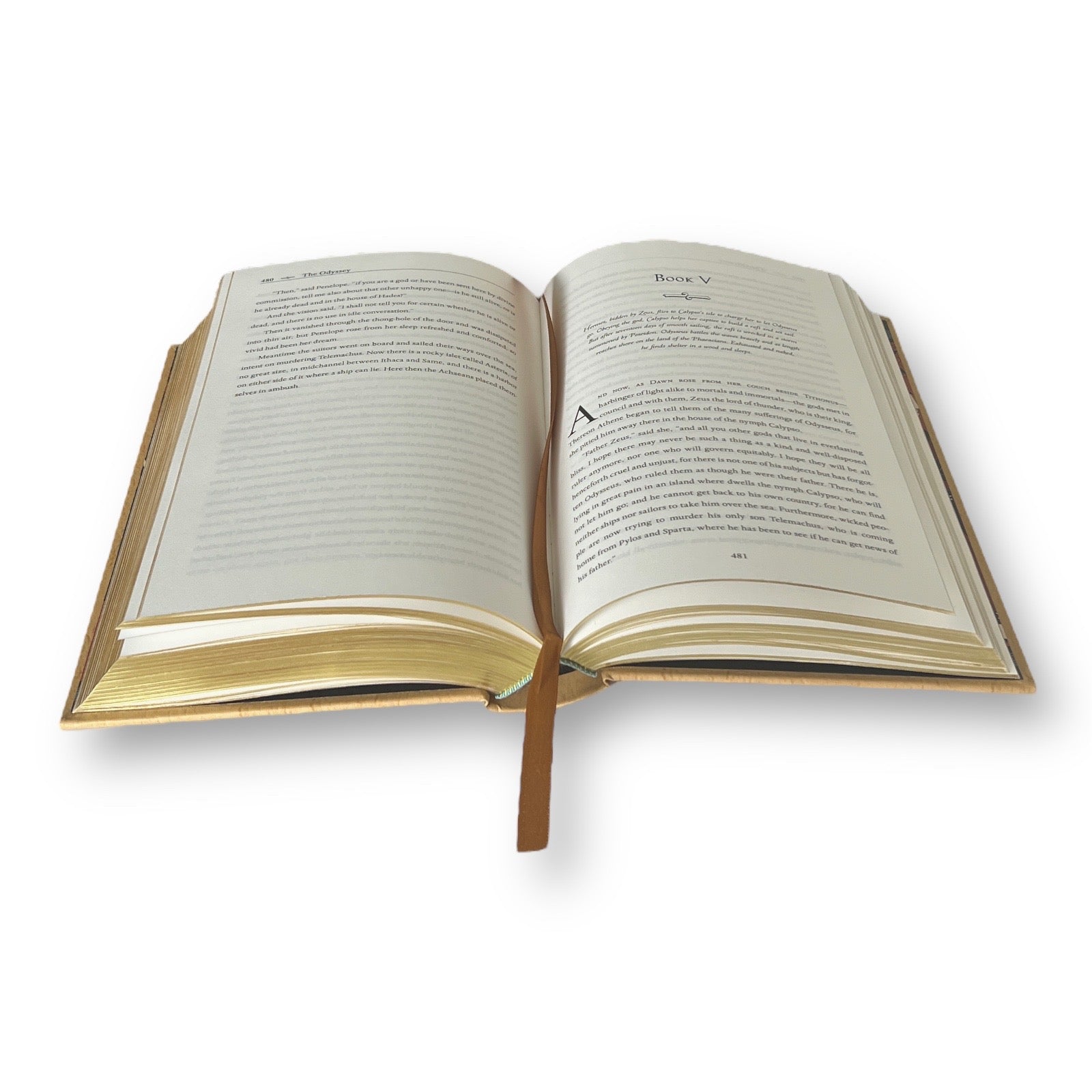 The Iliad & The Odyssey by Homer - Collectible Leather Bound Hardcover