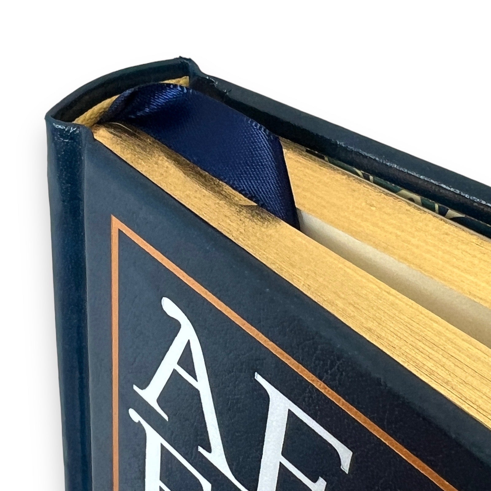Aesop's Fables Illustrated Fairy Tales - Collectible Leather Bound Hardcover Classics