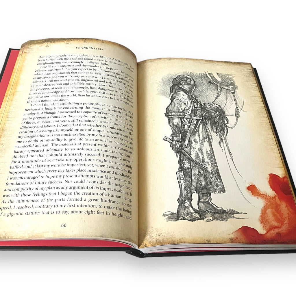 Frankenstein by Mary Shelley - Illustrated Deluxe Hardcover