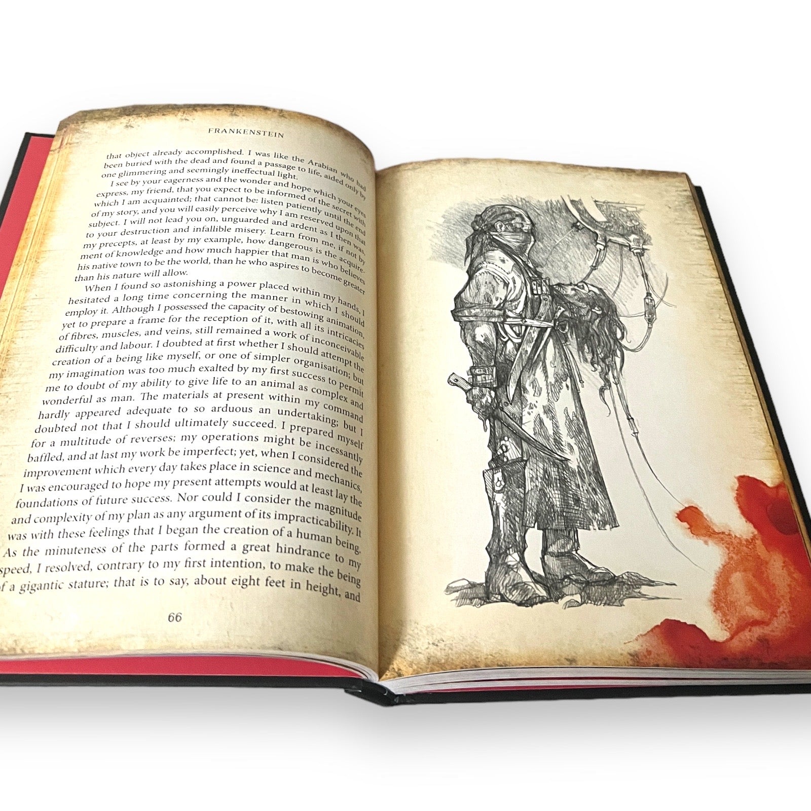 Frankenstein by Mary Shelley - Illustrated Deluxe Hardcover