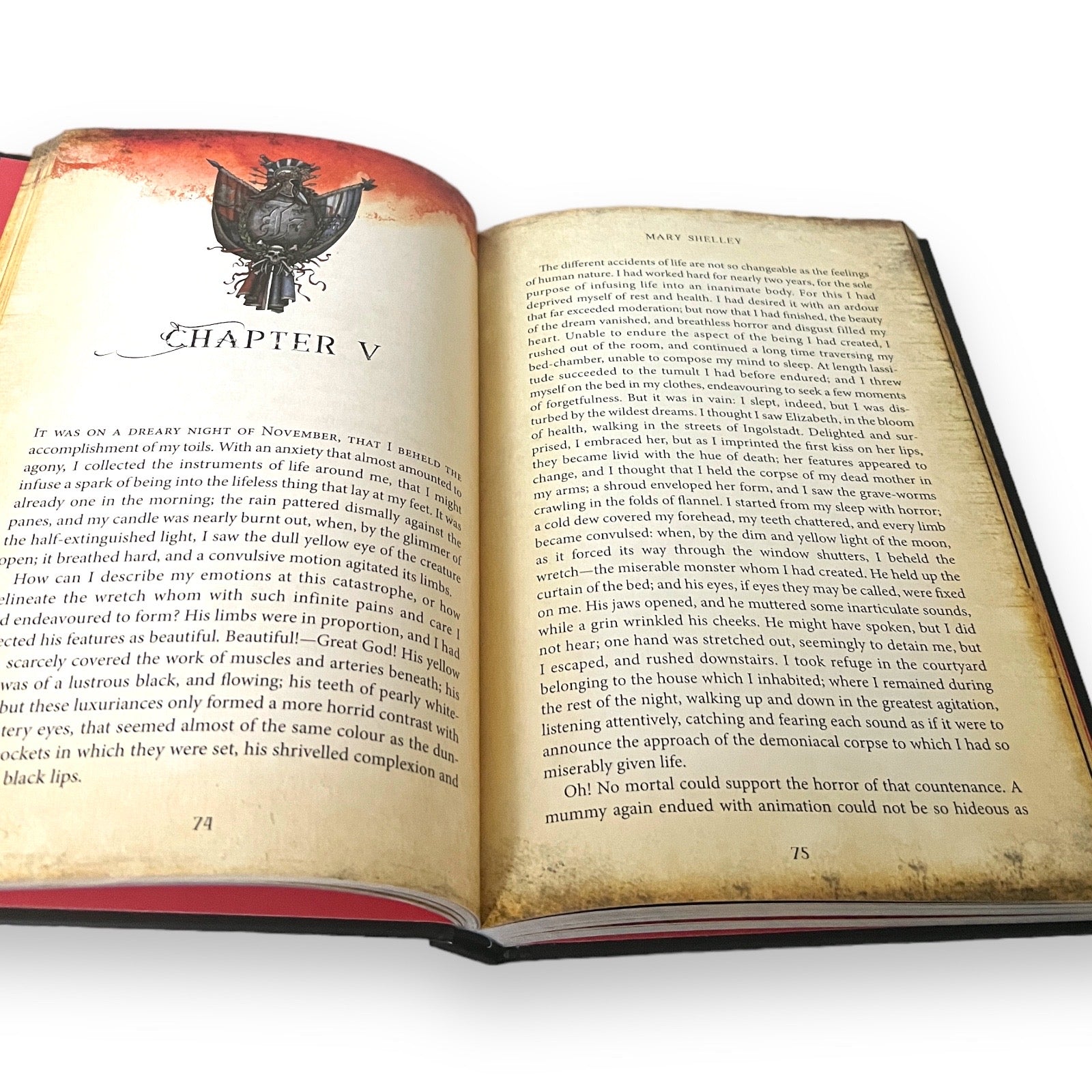 Frankenstein by Mary Shelley - Illustrated Deluxe Hardcover