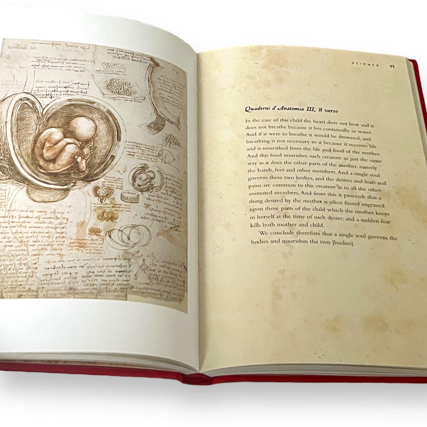 The Notebooks of Leonardo da Vinci - ILLUSTRATED Deluxe Gift Edition - Silk Hardcover - Classic Book