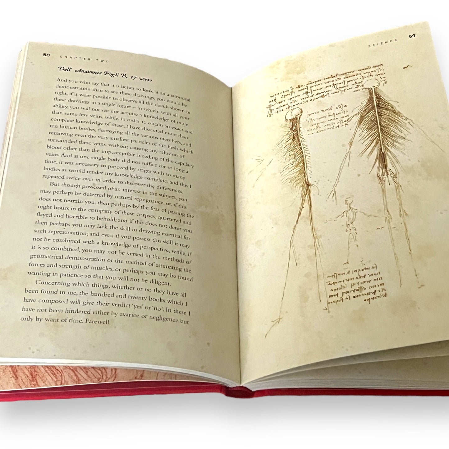 The Notebooks of Leonardo da Vinci - ILLUSTRATED Deluxe Gift Edition - Silk Hardcover - Classic Book