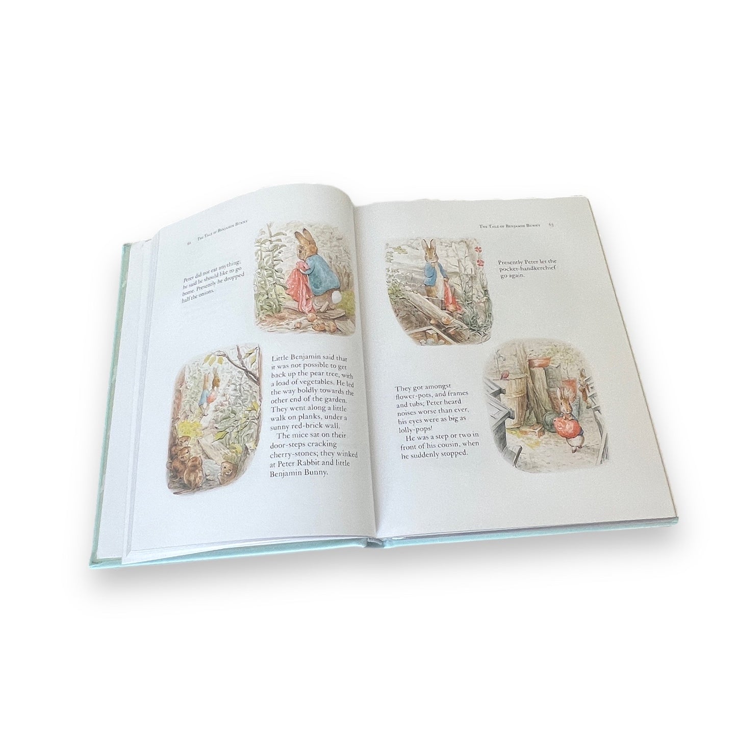 The Complete Peter Rabbit Treasury by Beatrix Potter - Collectible Deluxe Illustrated Edition - Leather Bound Hardcover - Classic Book