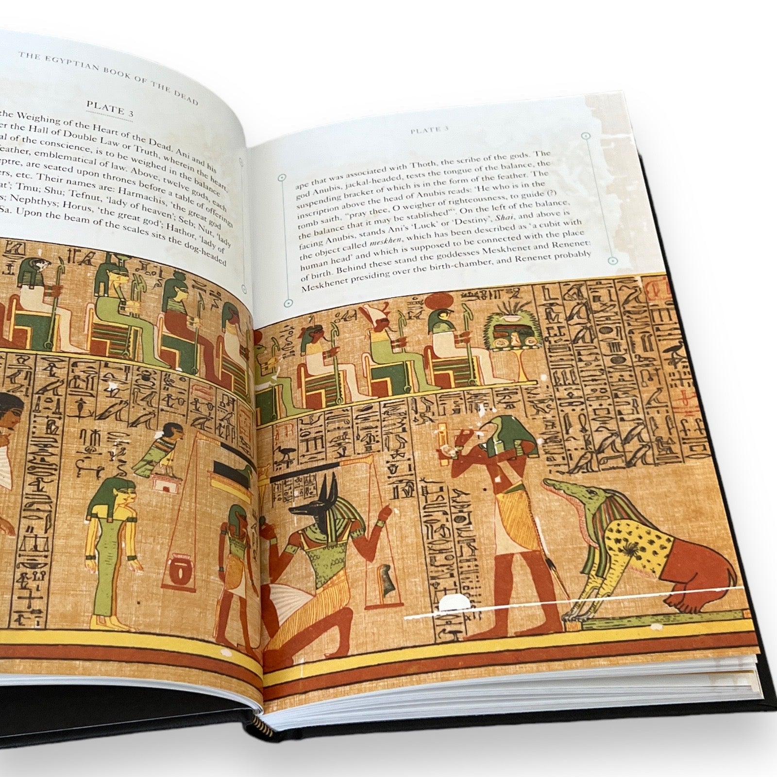 The Egyptian Book of the Dead - Luxury Full-Color Hardcover