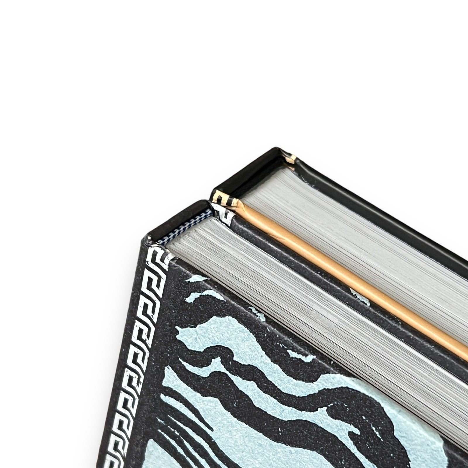 2-Book Set: The Illustrated Iliad & Odyssey by Homer - Luxury Full-Color Hardcover