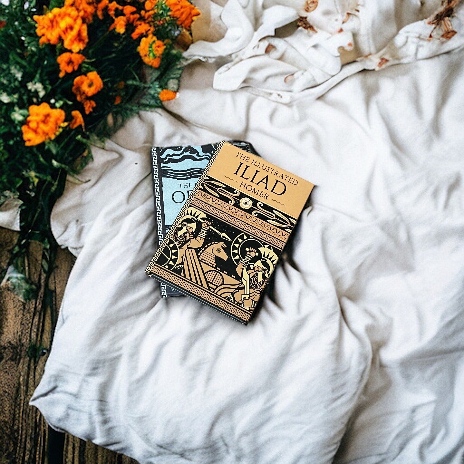 2-Book Set: The Illustrated Iliad & Odyssey by Homer - Luxury Full-Color Hardcover