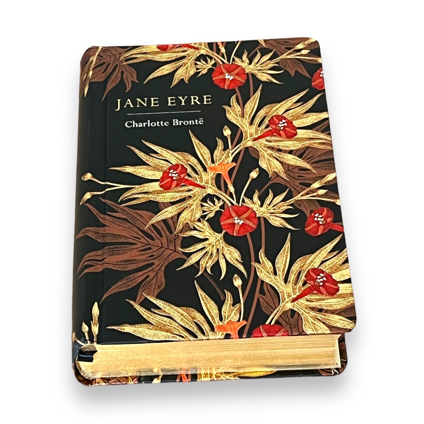 JANE EYRE by Charlotte Bronte - Collectible Deluxe Special Illustrated Gift Edition - Colorful Hardcover - Best Seller - Classic Book