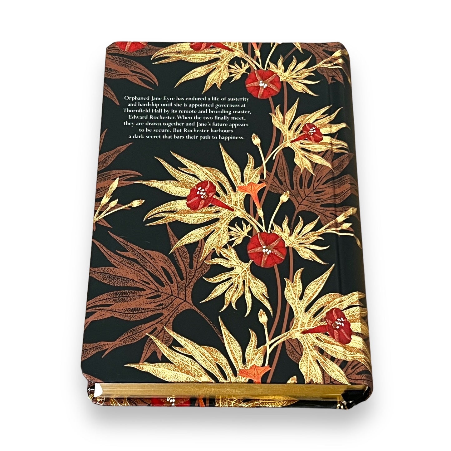 JANE EYRE by Charlotte Bronte - Collectible Deluxe Special Illustrated Gift Edition - Colorful Hardcover - Best Seller - Classic Book