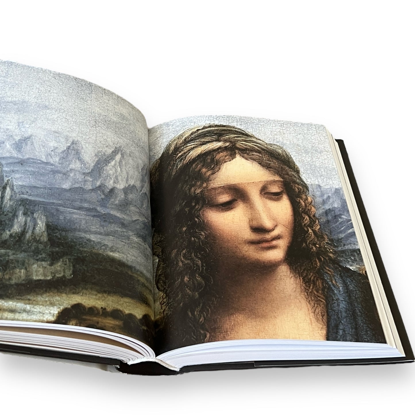 LEONARDO DA VINCI: The Complete Painting - Illustrated Collectible Deluxe Gift Edition - Hardcover - Home Decor - Classic Book