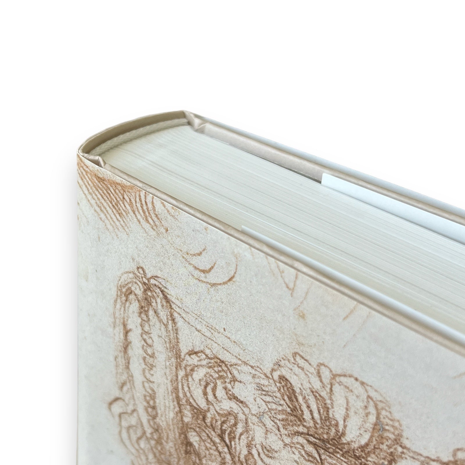 Michelangelo: The Graphic Work - Illustrated Decorative Hardcover