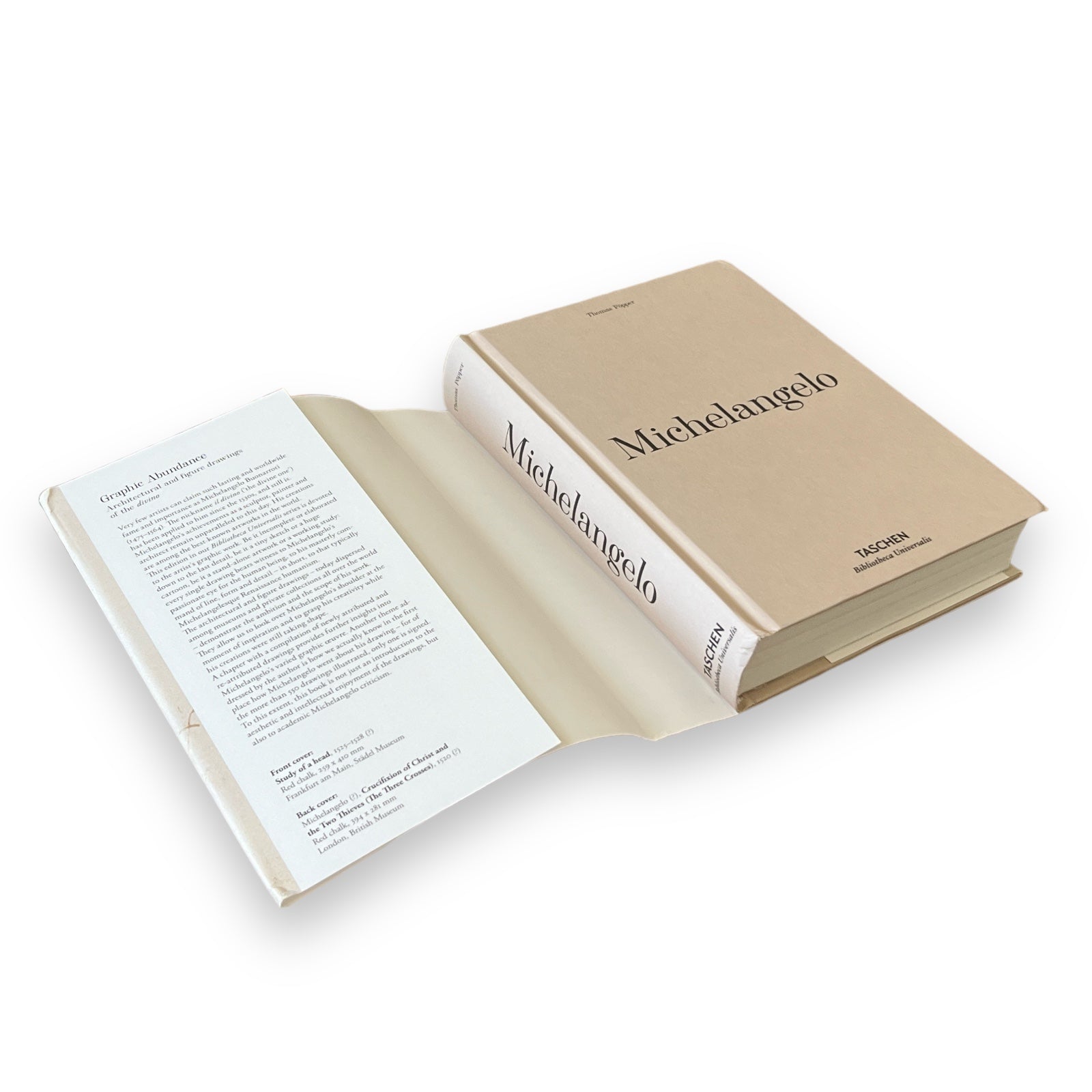 Michelangelo: The Graphic Work - Illustrated Decorative Hardcover