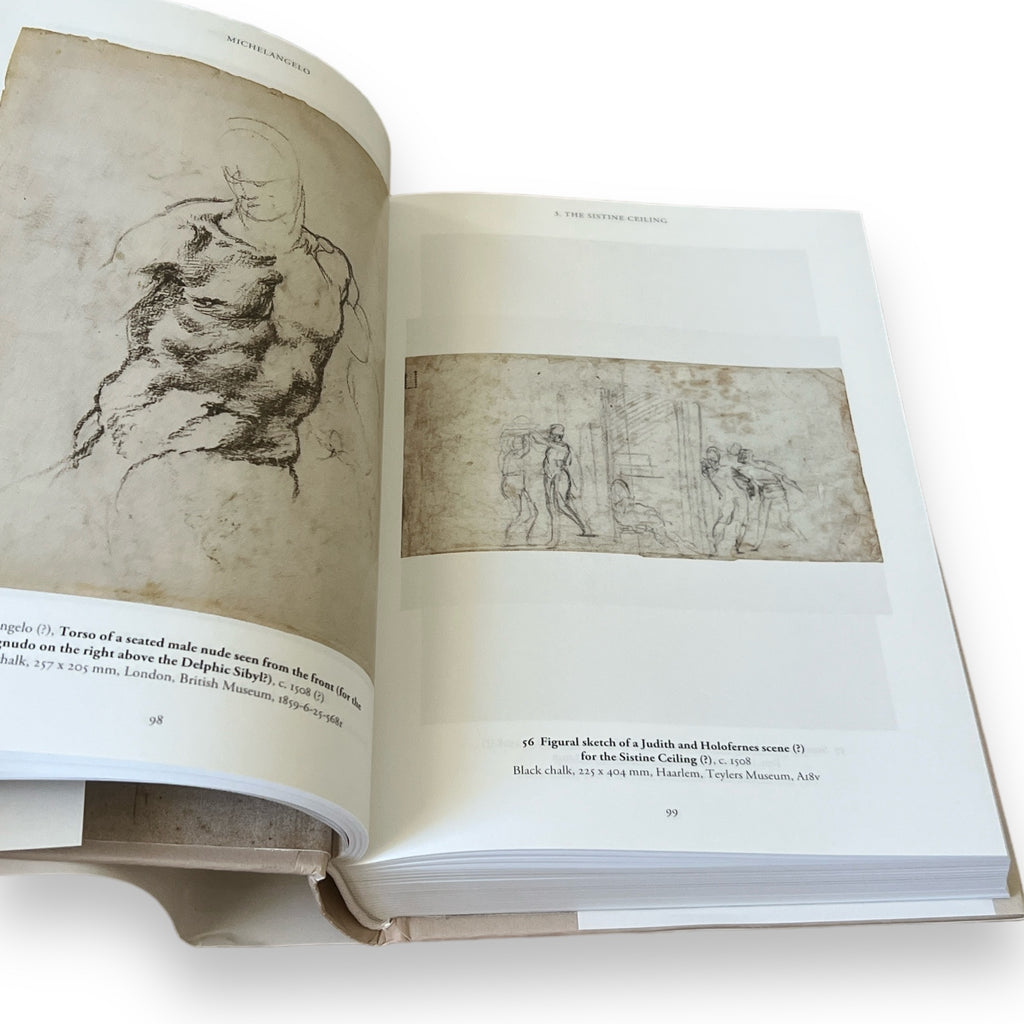 Michelangelo: The Graphic Work - Illustrated Decorative Hardcover